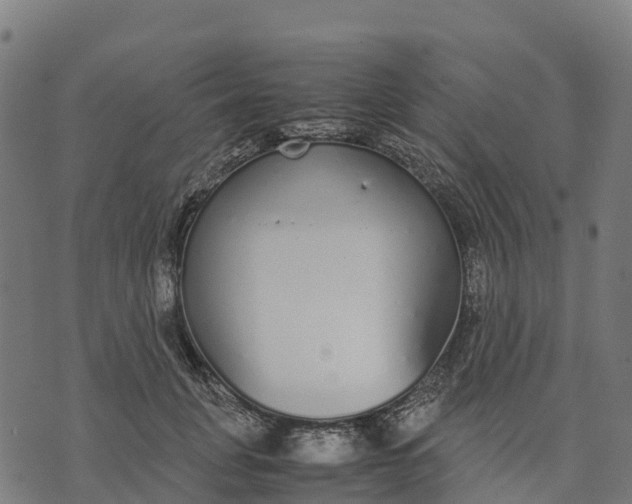 X0000070380751200606231712