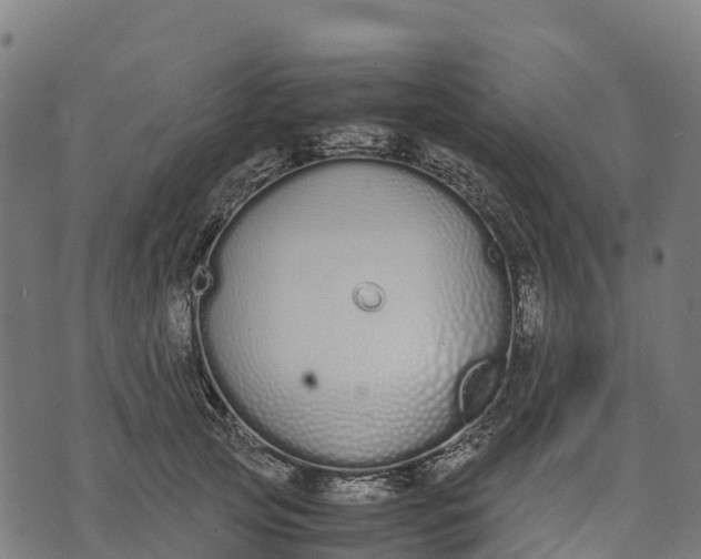 X0000070380753200606231712