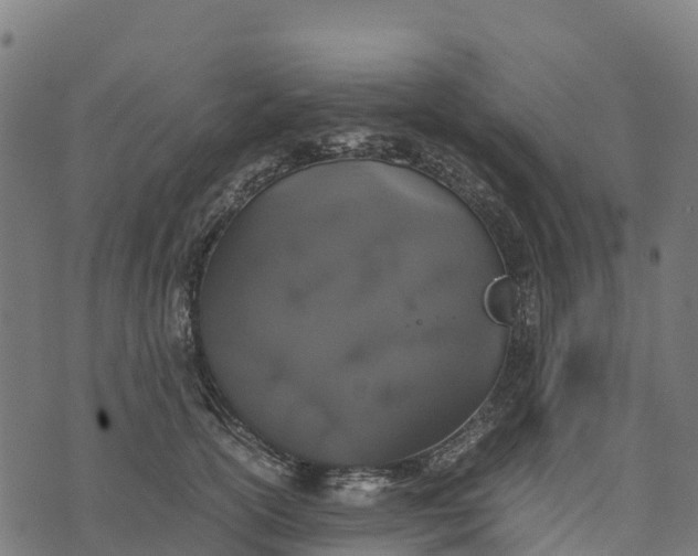 X0000070380754200606231712