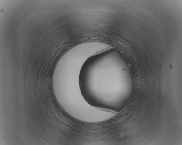 X0000070380756200606231712