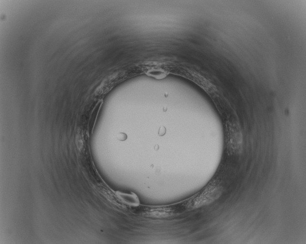 X0000070380758200606231712