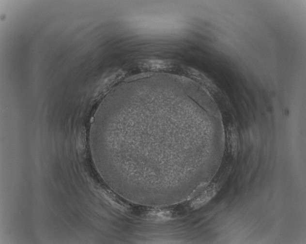 X0000070380760200606231712