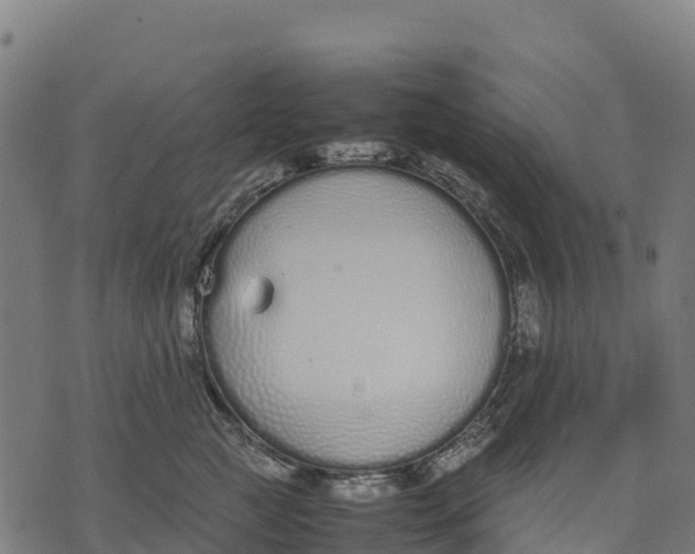 X0000070380761200606231712