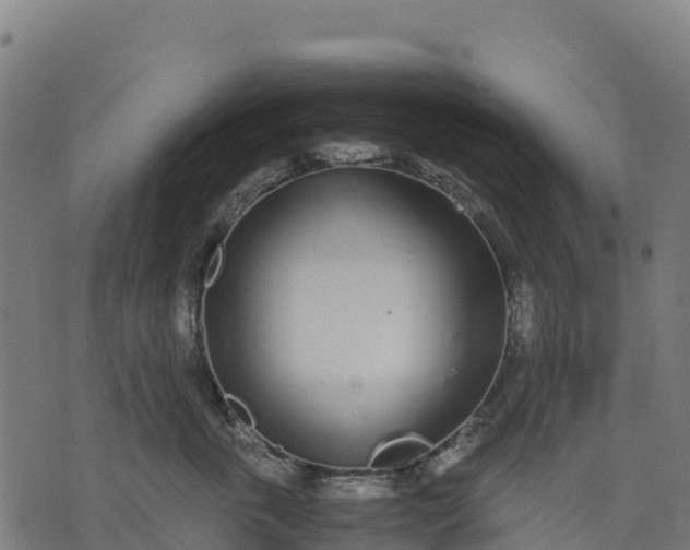 X0000070380763200606231712