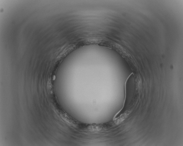 X0000070380764200606231712