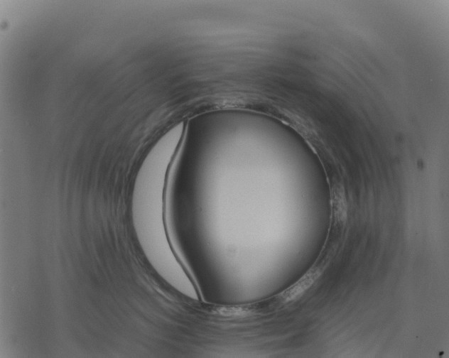 X0000070380766200606231712