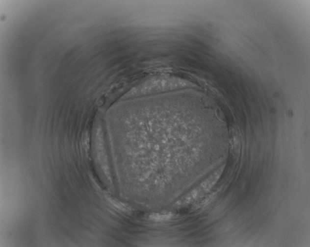 X0000070380767200606231712