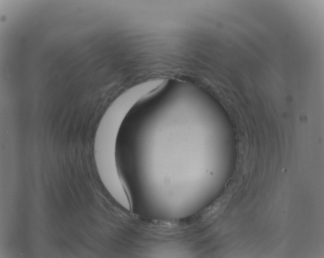 X0000070380768200606231712