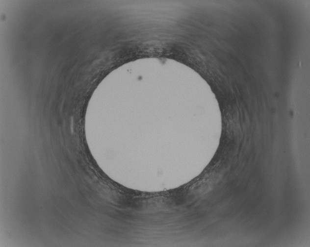 X0000070380769200606231711