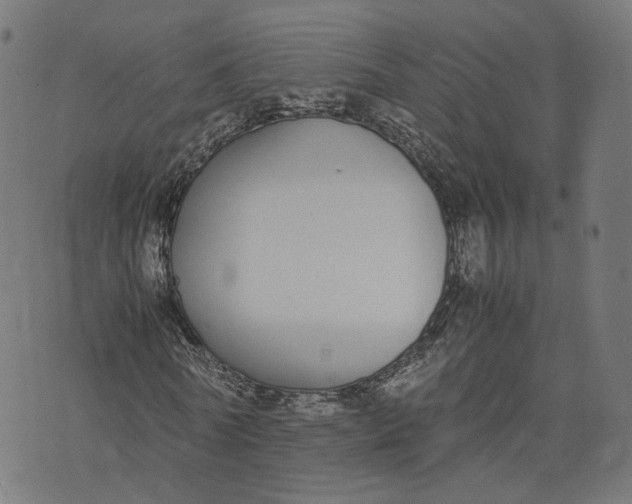 X0000070380770200606231711