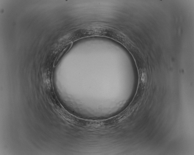 X0000070380771200606231711