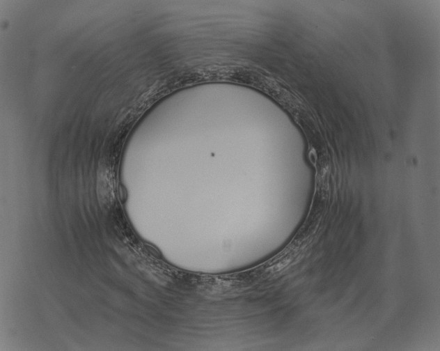 X0000070380772200606231711