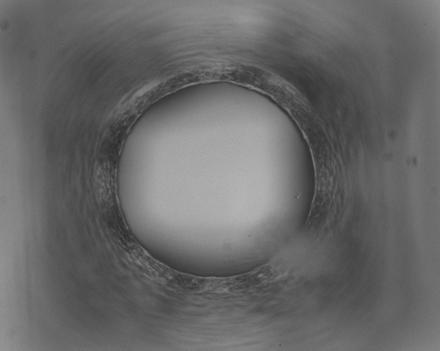 X0000070380773200606231711