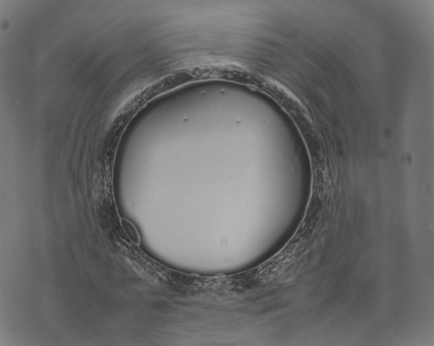 X0000070380775200606231711