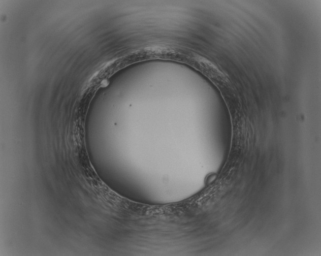 X0000070380776200606231711