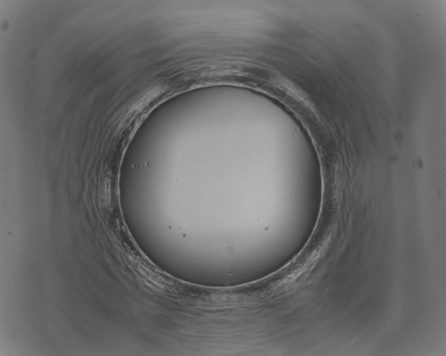 X0000070380777200606231711