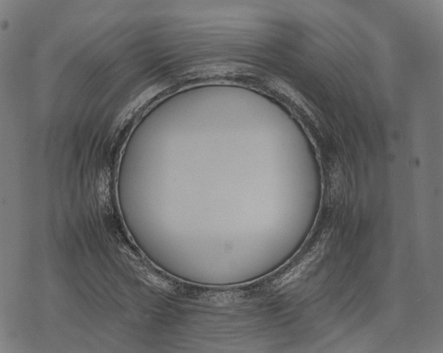 X0000070380778200606231711