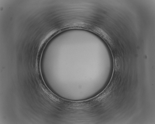 X0000070380780200606231711