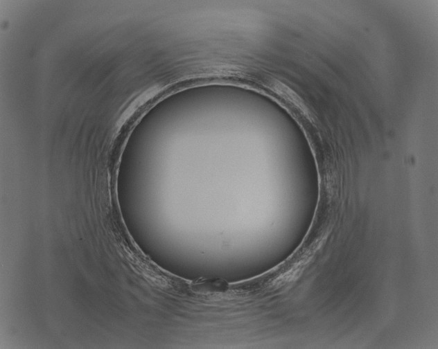 X0000070380781200606231711