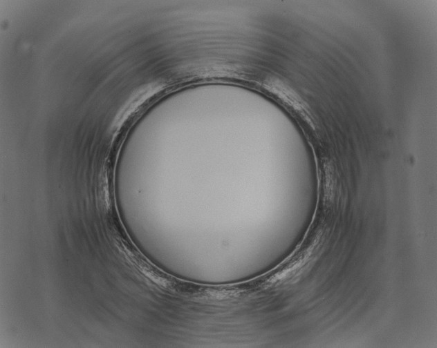 X0000070380782200606231711