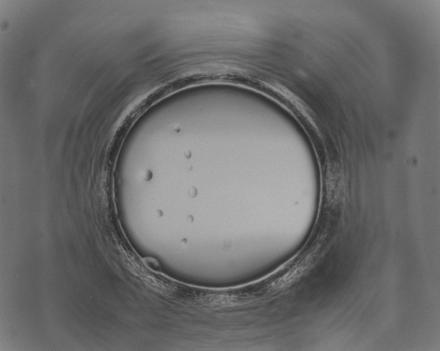 X0000070380783200606231711