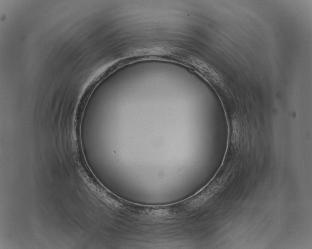 X0000070380784200606231711