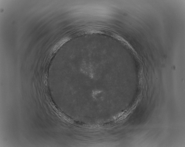 X0000070380785200606231711