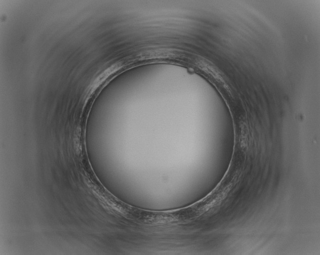 X0000070380786200606231711