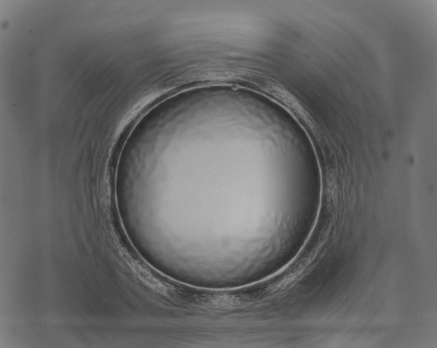 X0000070380787200606231711