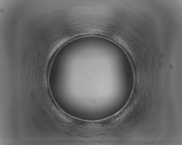 X0000070380789200606231711