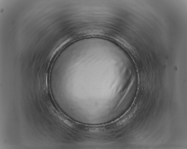 X0000070380790200606231711