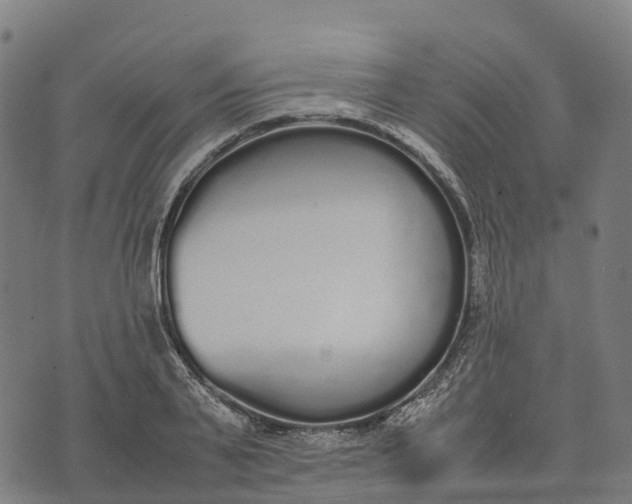 X0000070380791200606231711