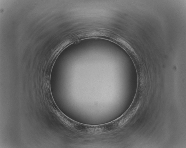 X0000070380793200606231711