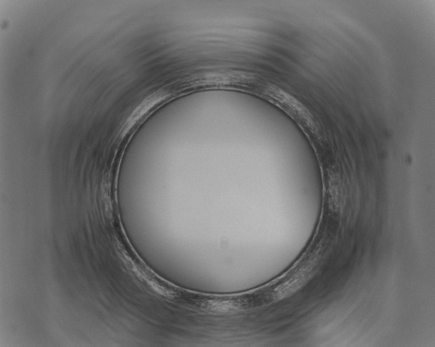 X0000070380794200606231711