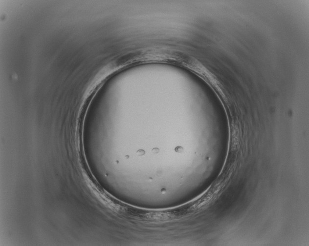 X0000070380795200606231711