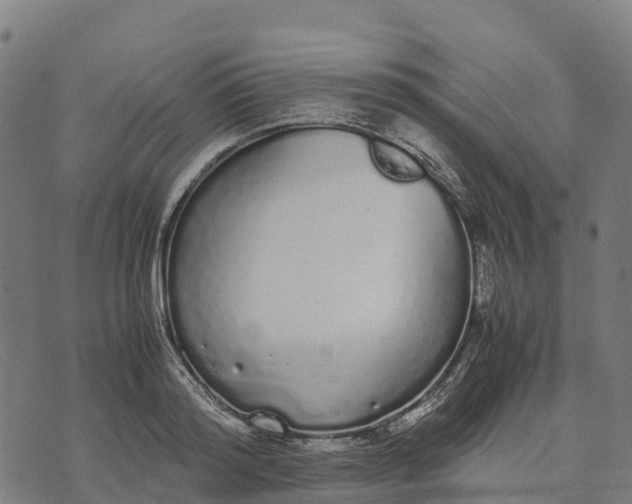 X0000070380796200606231711