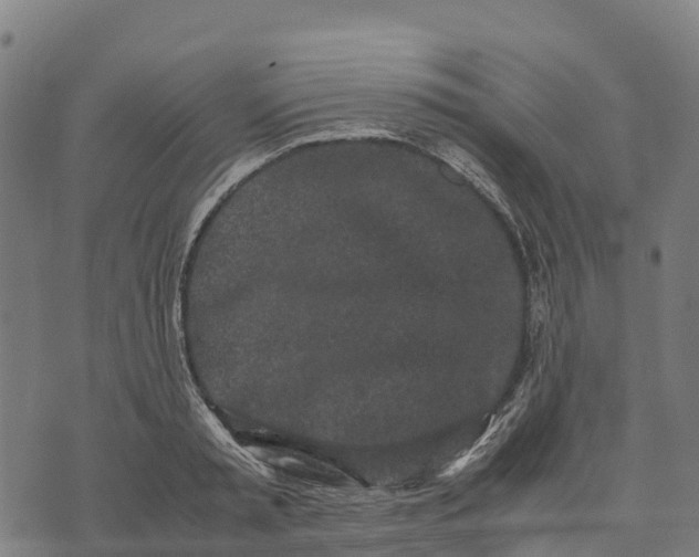 X0000070380797200606231711