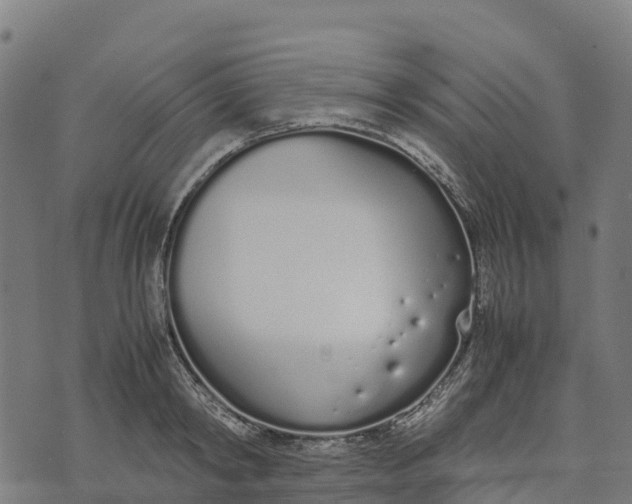 X0000070380798200606231711