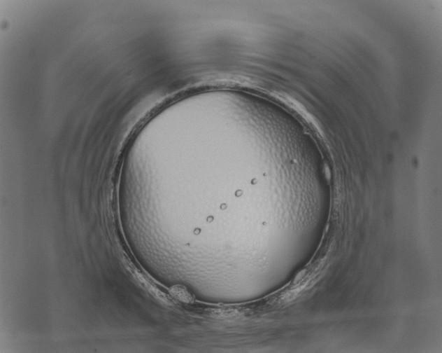 X0000070380799200606231711