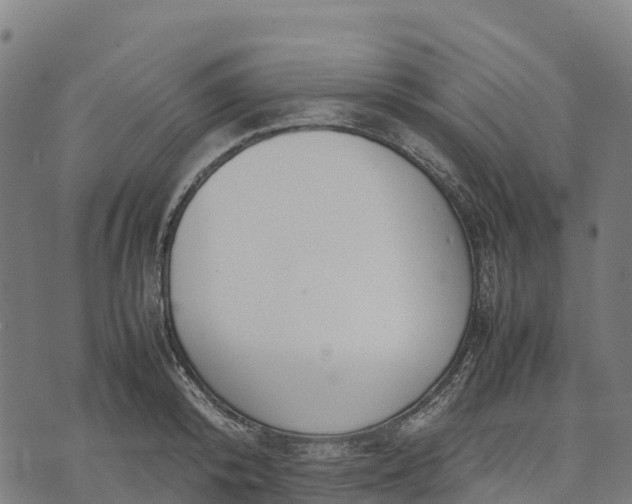 X0000070380800200606231711