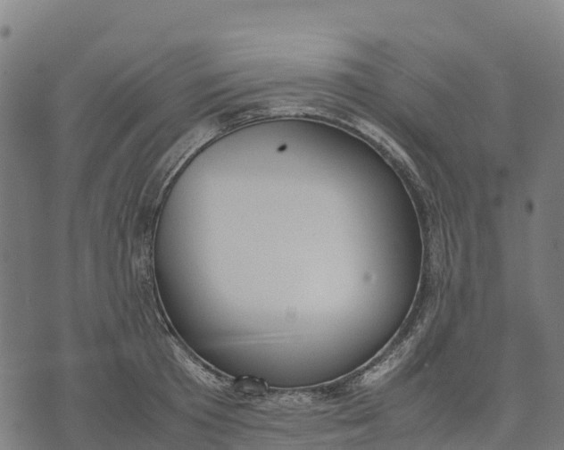 X0000070380801200606231711