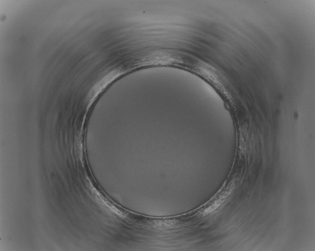 X0000070380802200606231711