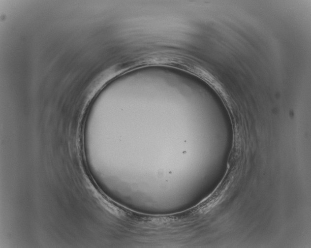 X0000070380803200606231711