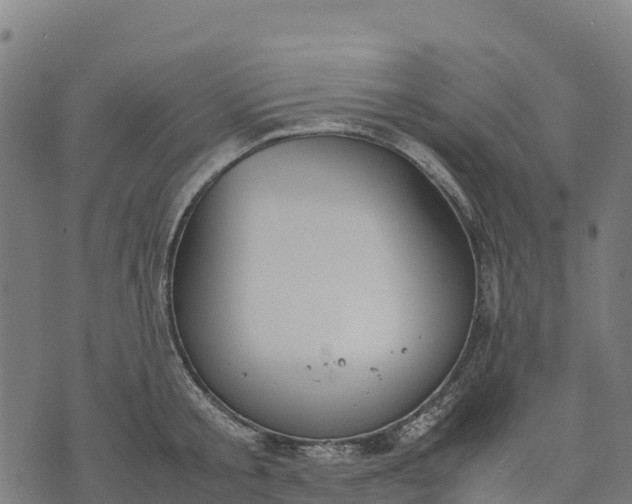 X0000070380805200606231711