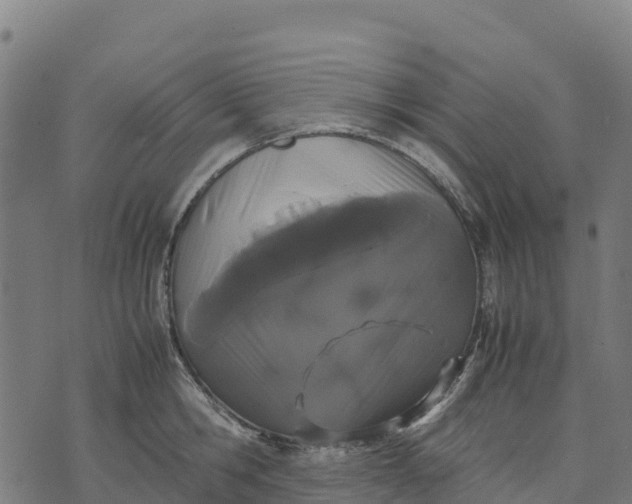 X0000070380806200606231711