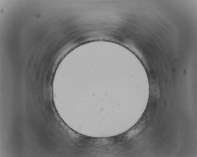 X0000070380807200606231711