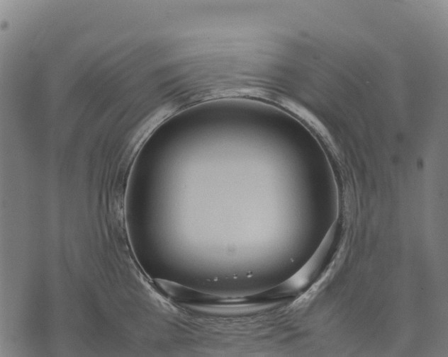 X0000070380809200606231711