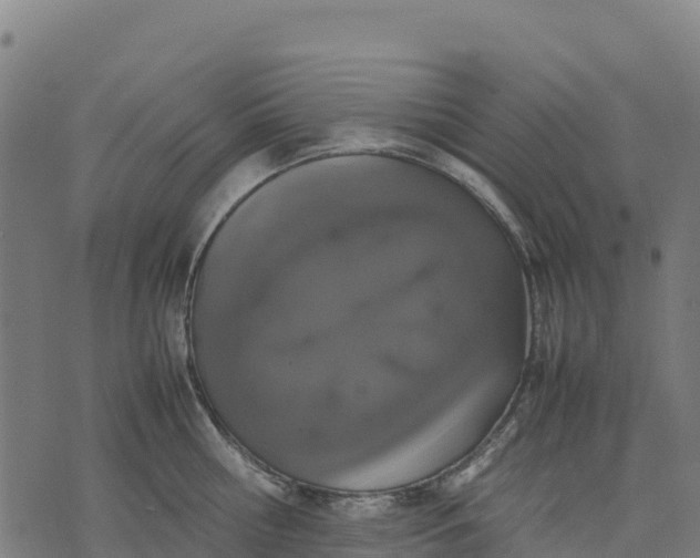 X0000070380810200606231711