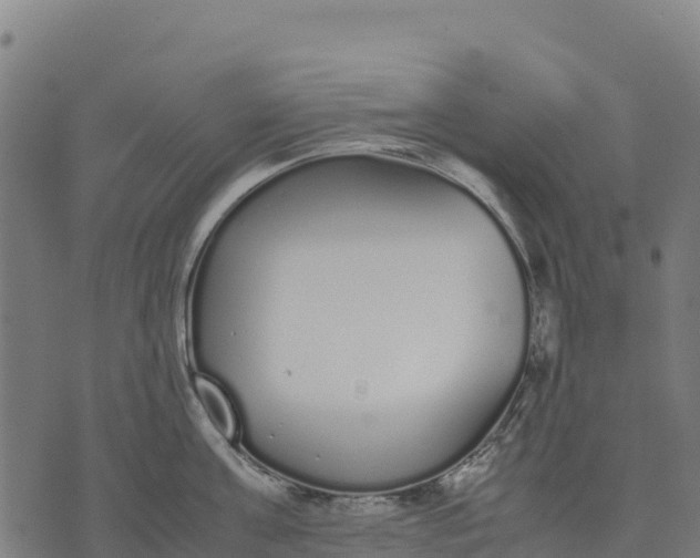 X0000070380811200606231711