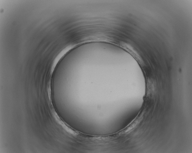 X0000070380812200606231711